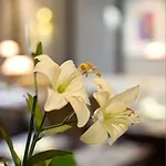 Hotel Gildors Atmosphere Dusseldorf