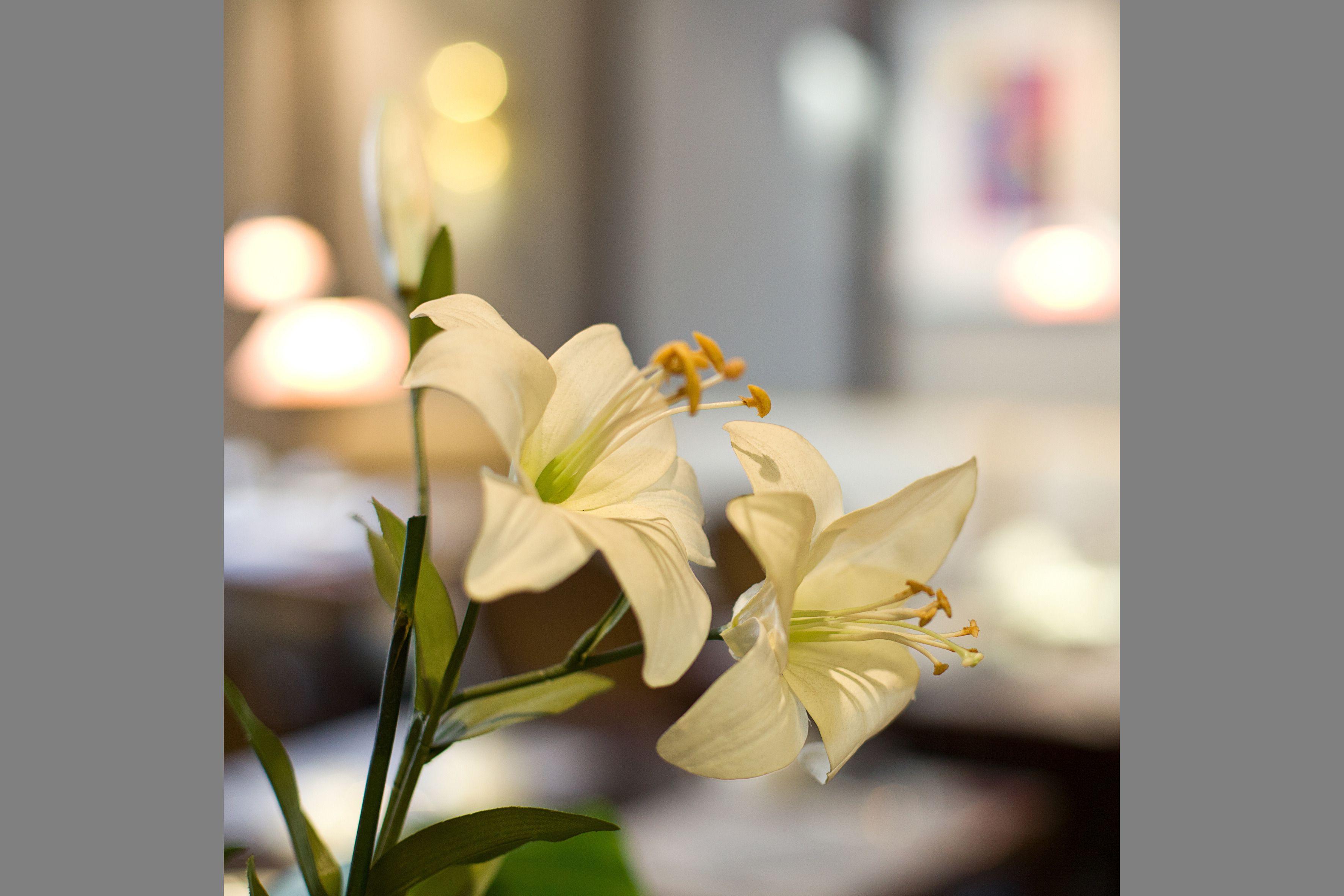 Hotel Gildors Atmosphere Düsseldorf