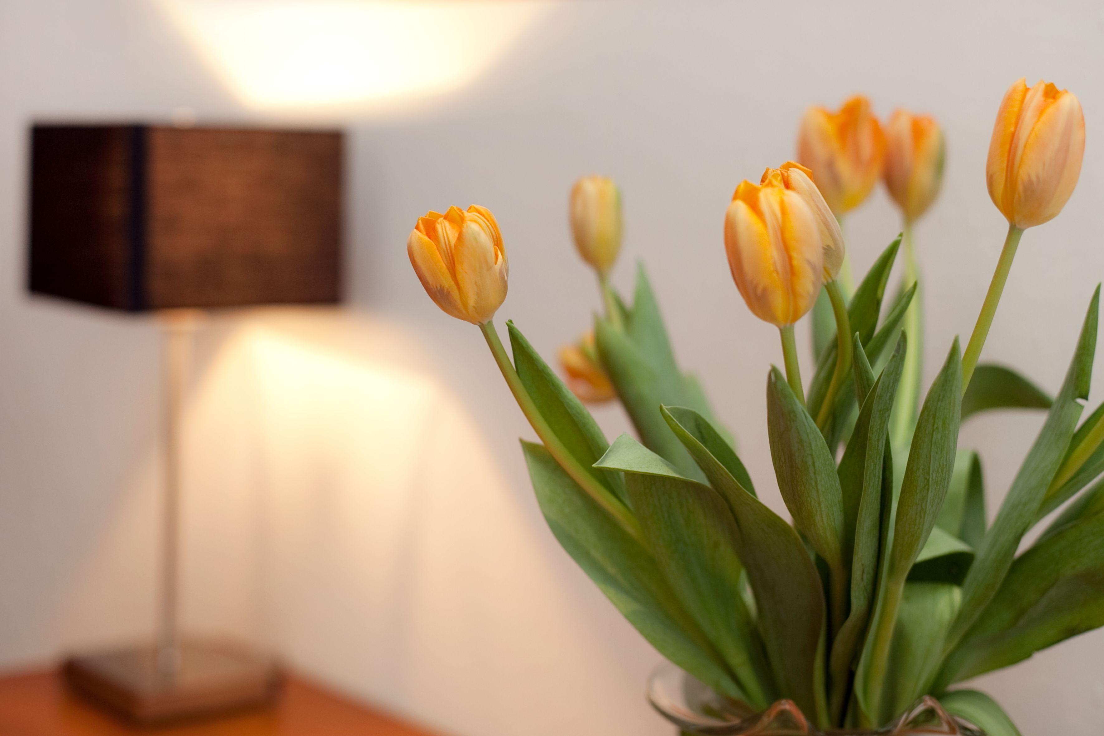 Gildors Atmosphere Düsseldorf