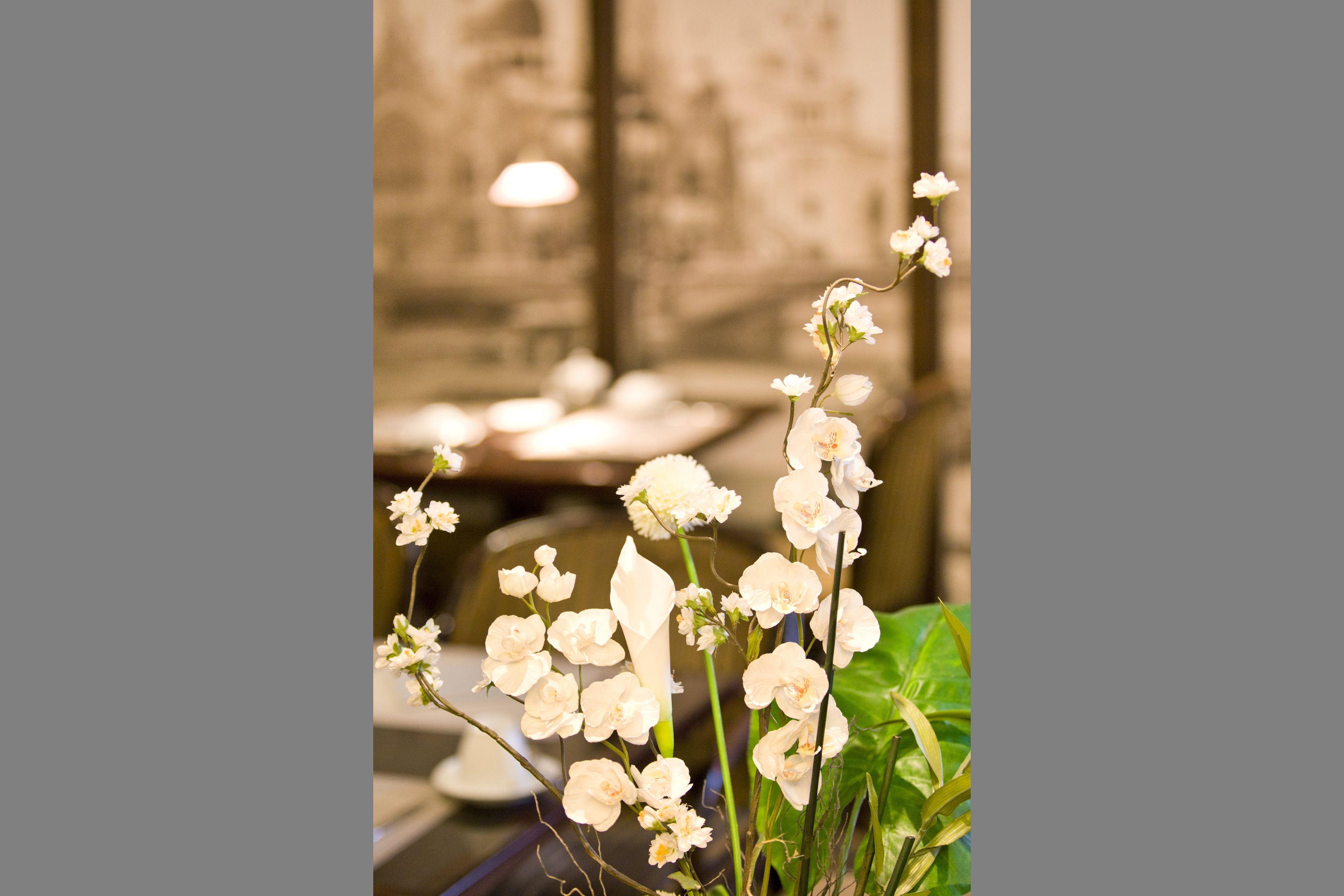 Gildors Atmosphere 3* Dusseldorf